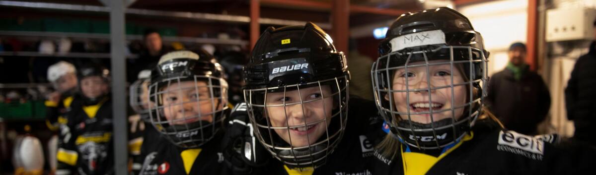 Behovet vårt for 2 isflater og større hall