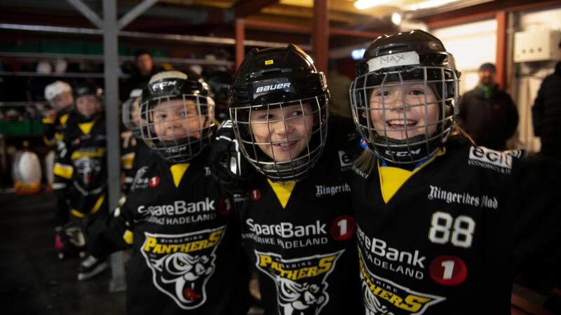 Bærekraft