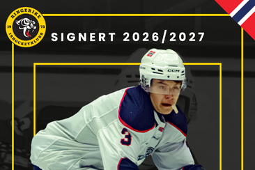 Dehli Gjøs til Ringerike