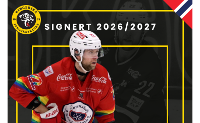 Holstad til Ringerike