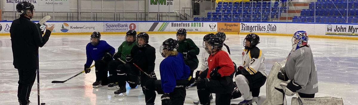 Ishockeyen er klar for et kvinneløft!