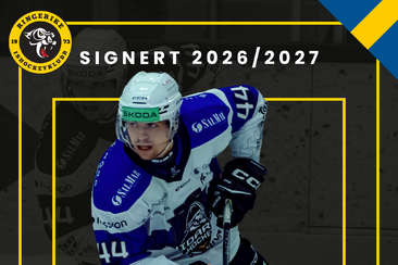 Lyckåsen til Ringerike